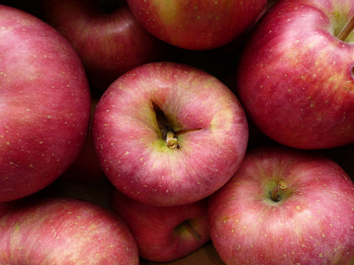 シリアルナンバー有り　アンドレ・コタボ　「赤い果物」 シリアルナンバー有り アンドレ・コタボ 「赤い果物」 シリアル